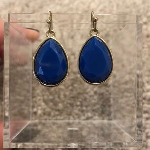 NWOT Blue Statement Earrings